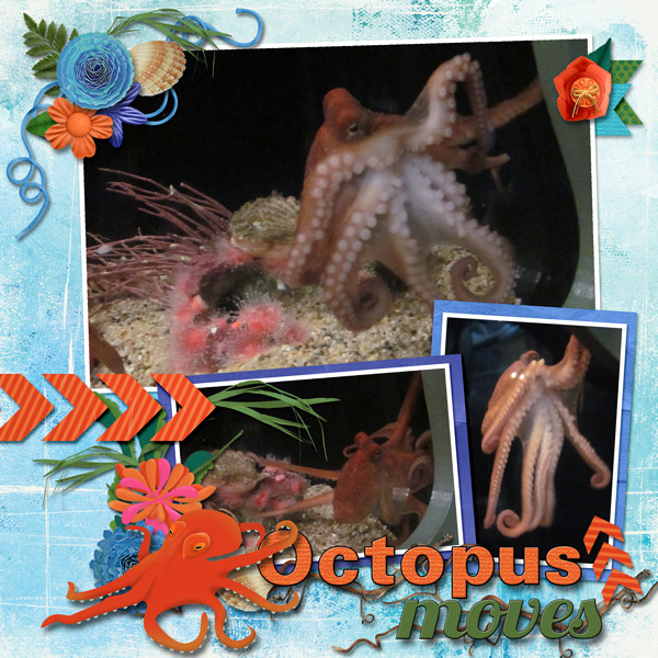 Octopus moves