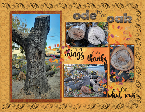 ode to an oak 2