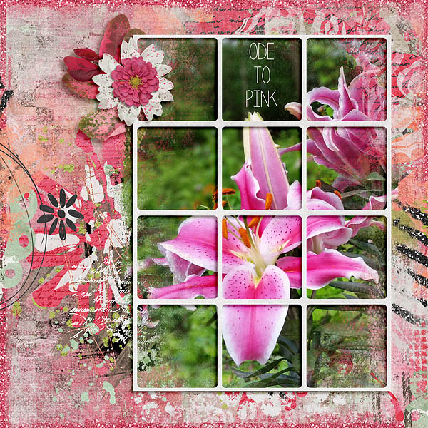 Ode to Pink