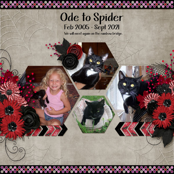 Ode to Spider