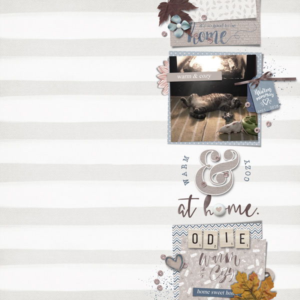 Odie's Fireplace | September 2018