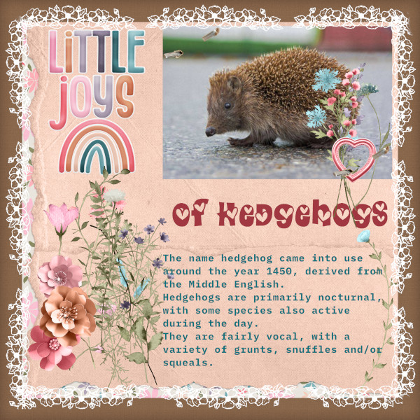 Of Hedgehog