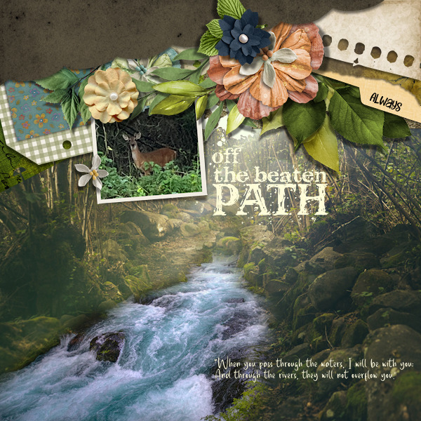 Off The Beaten Path