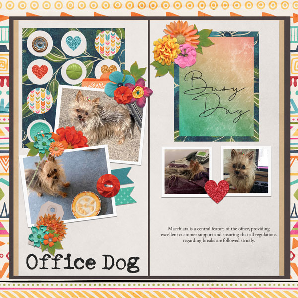 Office Dog