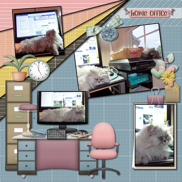Office Manager - Andrew