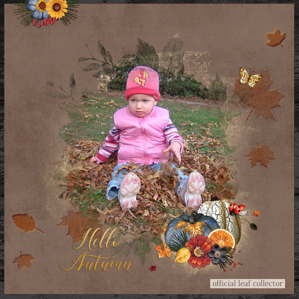 official leaf collector