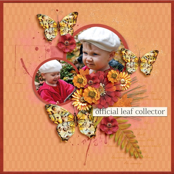 Official-Leaf-Collector