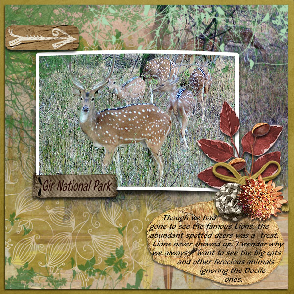 Oh Deer!