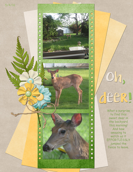 Oh, deer!