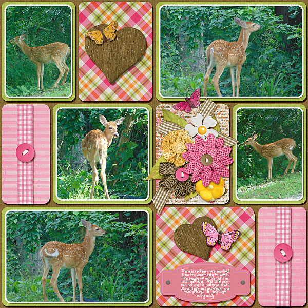 Oh Deer !