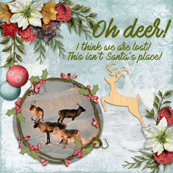 Oh-deer