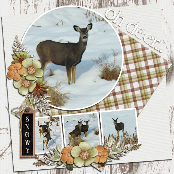 Oh Deer...