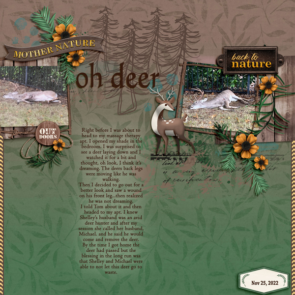 Oh Deer