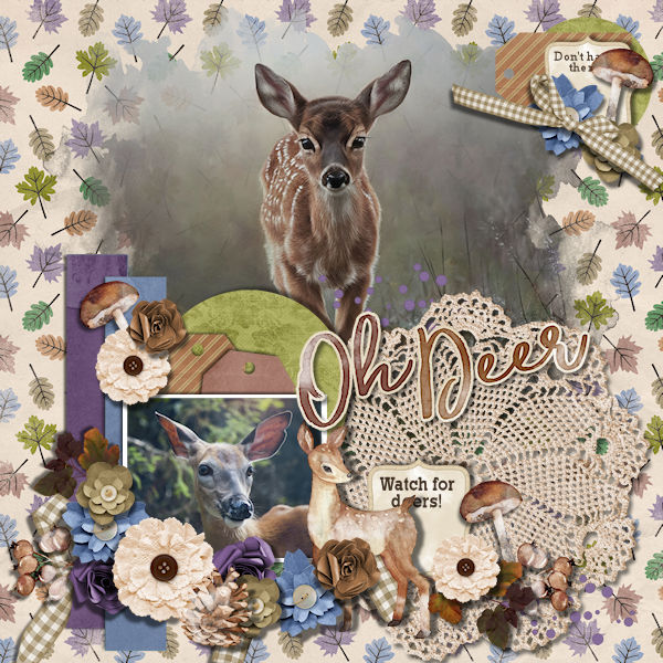 Oh Deer