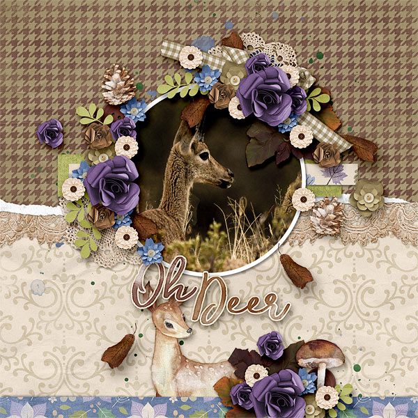 Oh Deer