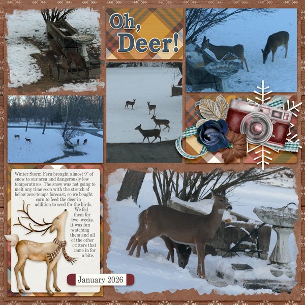 Oh, Deer!
