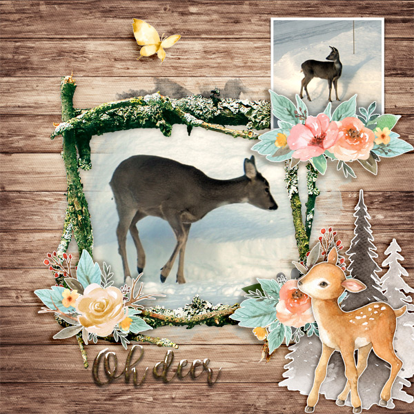 Oh-deer3