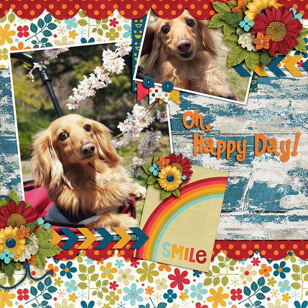 Oh,Happy Day