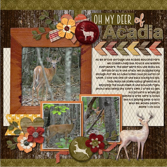 Oh my Deer of Acadia