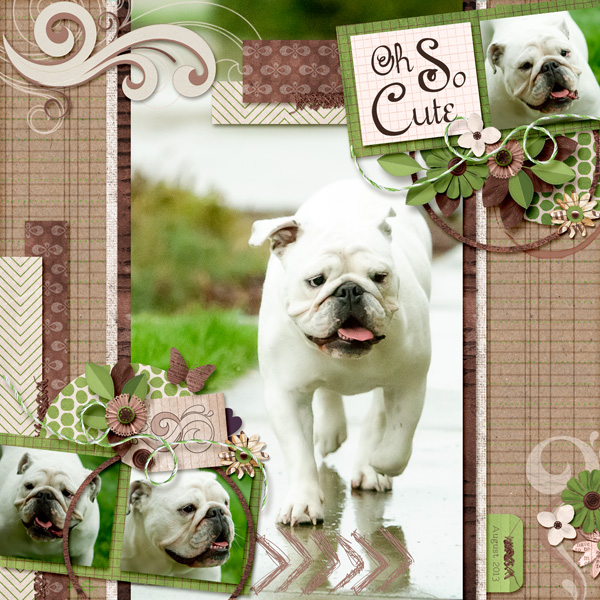 Oh So Cute