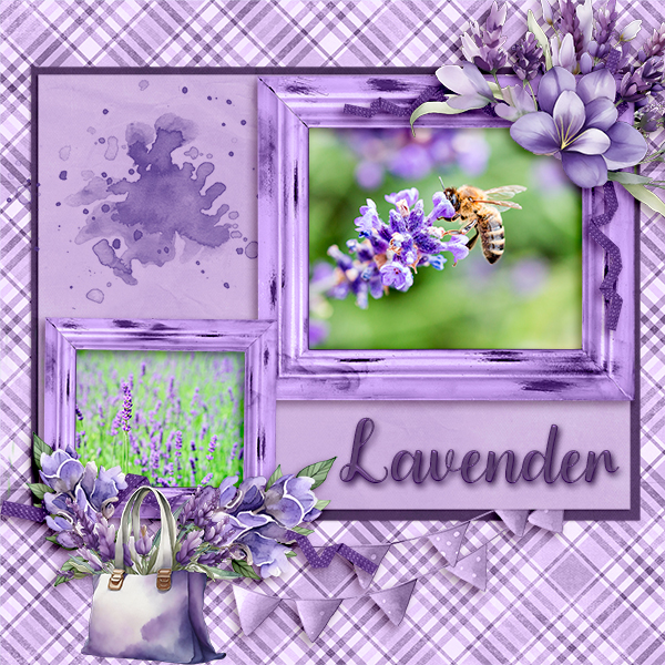 Oh So Lavender
