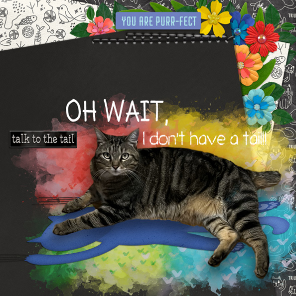 Oh Wait!