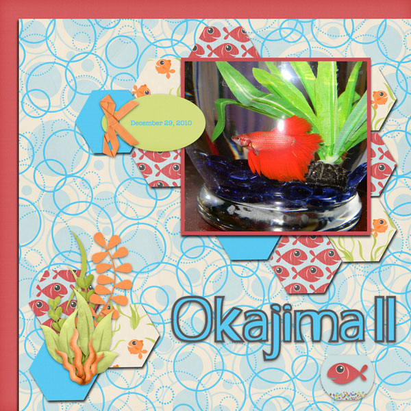 Okajima 2