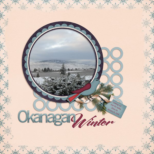 Okanagan Winter