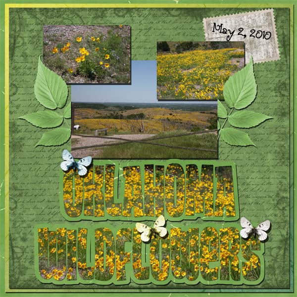 Oklahoma Wildflowers