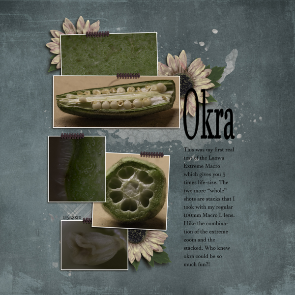 Okra