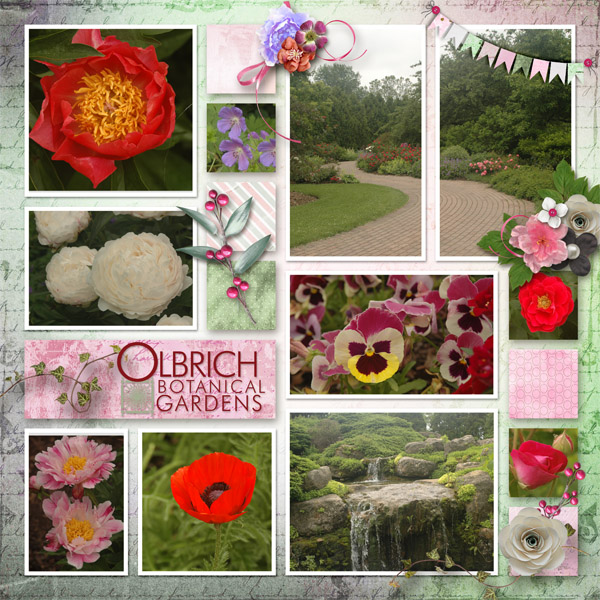 Olbrich Left