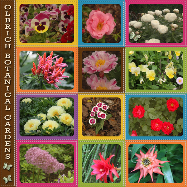 Olbrich_Botanical_Gardens