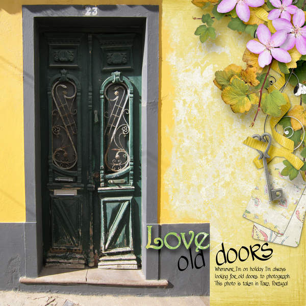 Old door