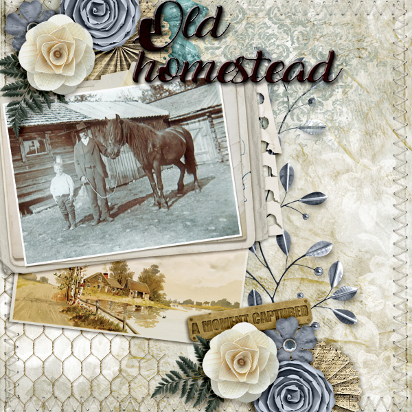 Old-homestead