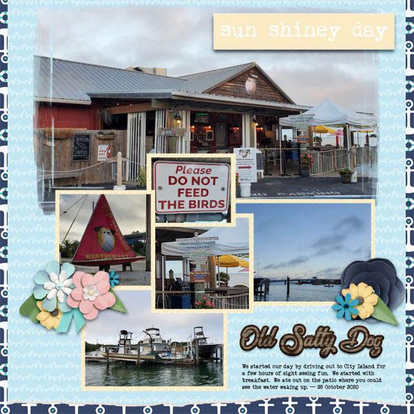 Old Salty Dog