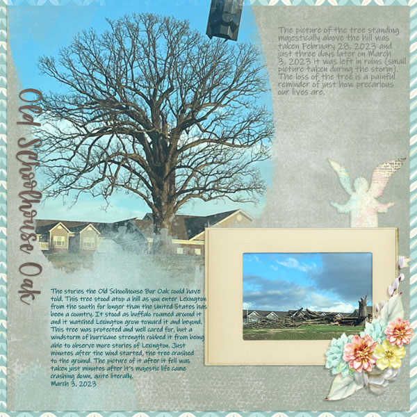 Old Schoolhouse Oak