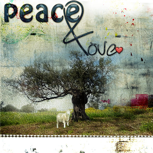 Olive Tree