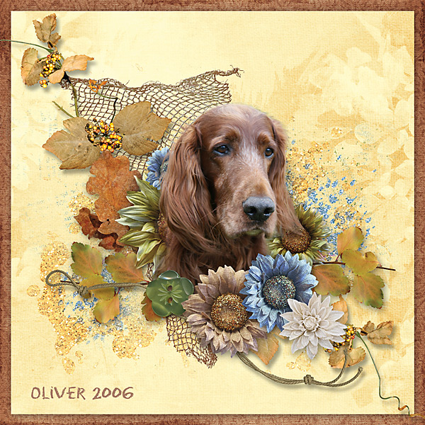 Oliver 2006