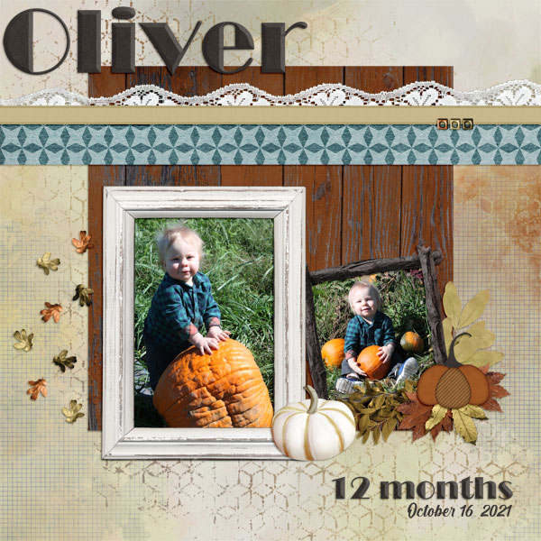 Oliver at Pumpkin Patch