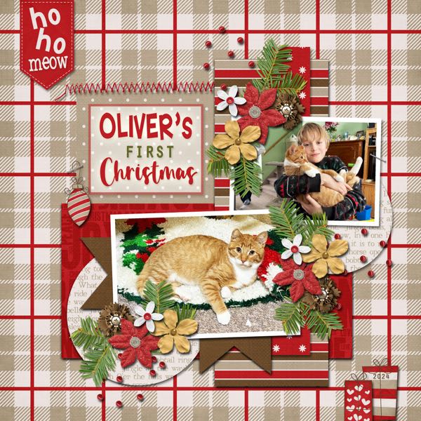 Oliver's First Christmas