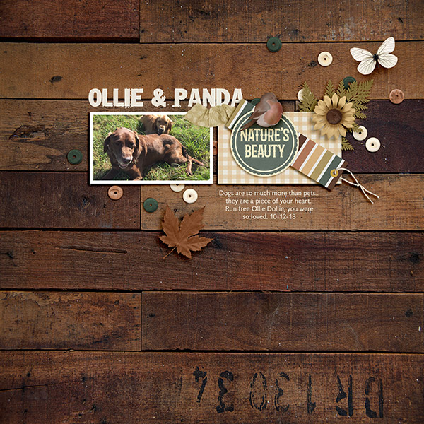 Ollie and Panda