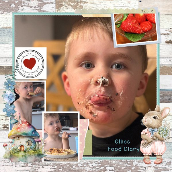 Ollies Food Diary.jpg