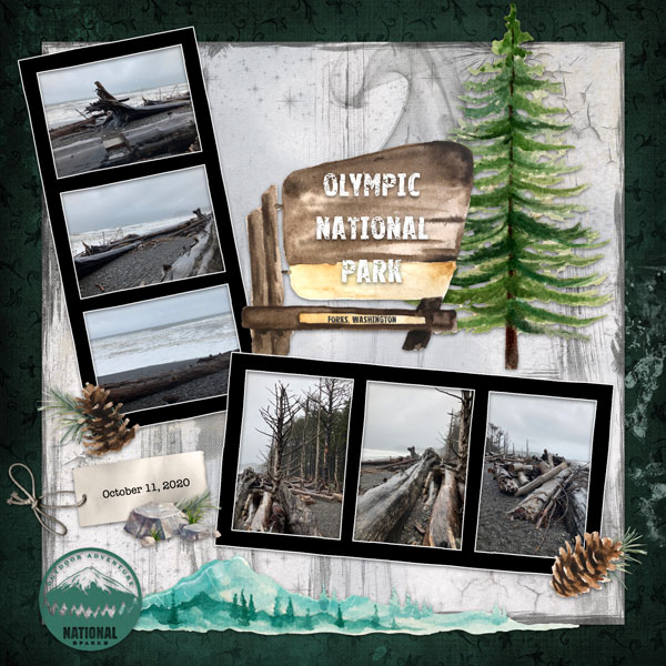 Olympic National Park