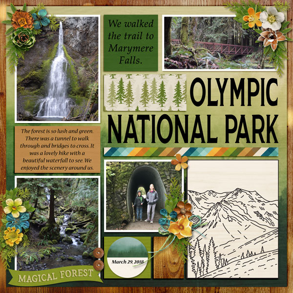 Olympic NP