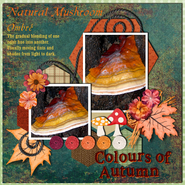 Ombre, September 2015 Colour challenge