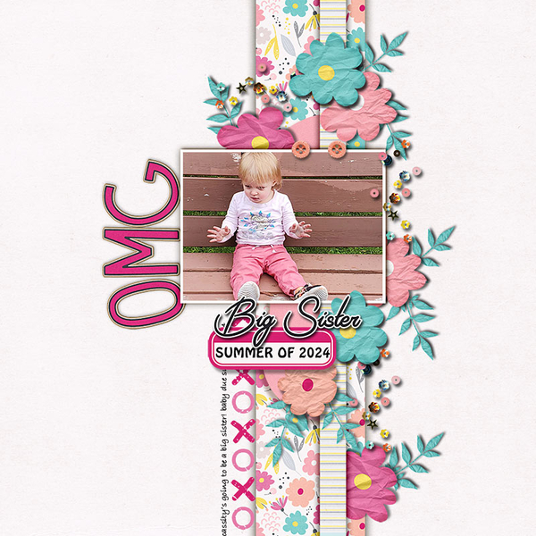 Omg! Big Sister Coming Soon!