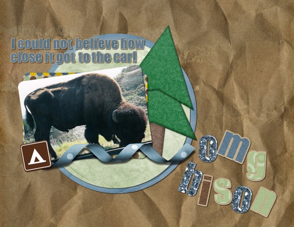 omg bison