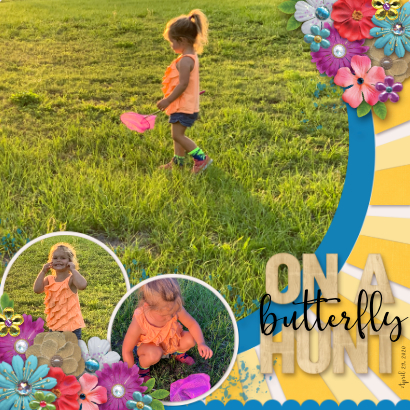 On a Butterfly Hunt