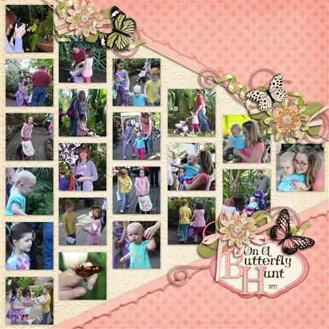 On a Butterfly Hunt