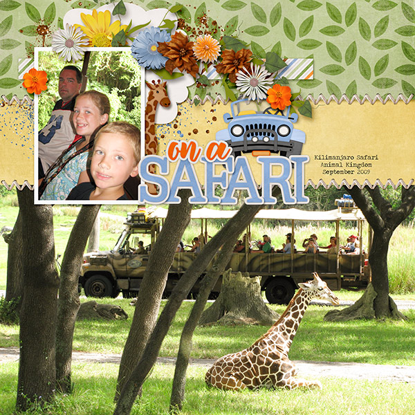 On A Safari